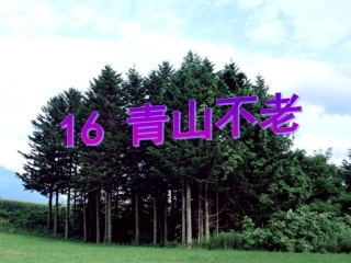 16青山不老jsp