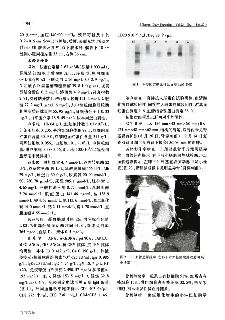 血液净化治疗冷球蛋白血症_第2页