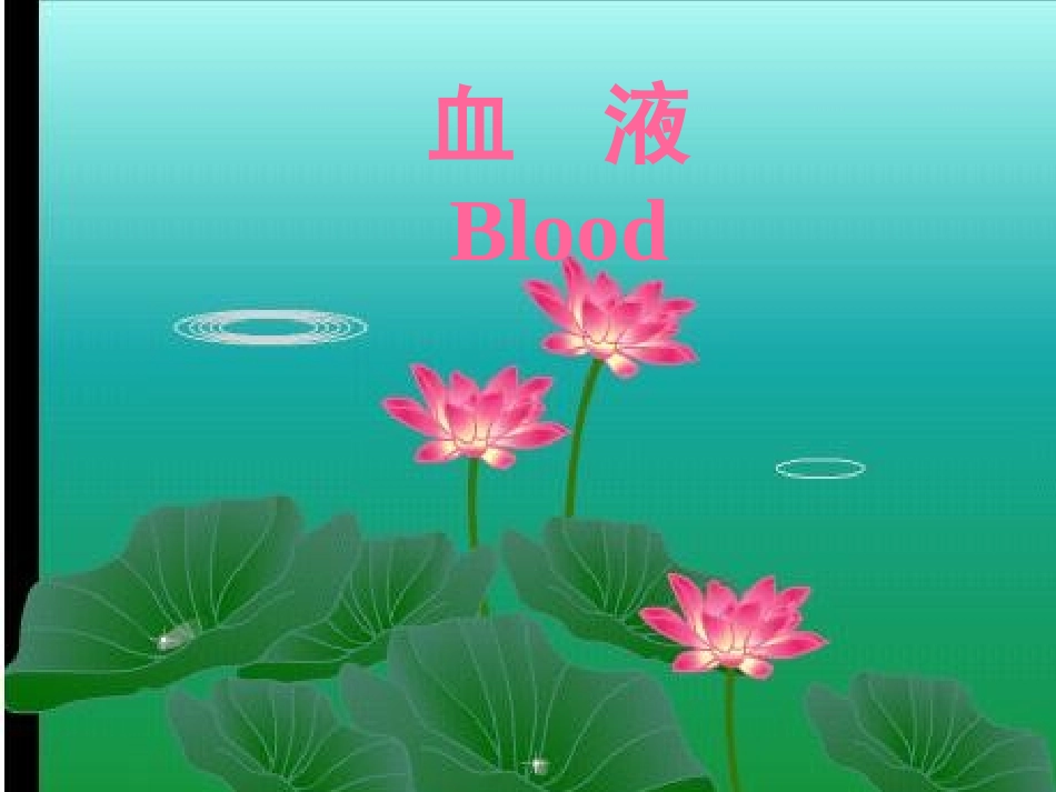 血液BLOOD--组织学和胚胎学_第1页