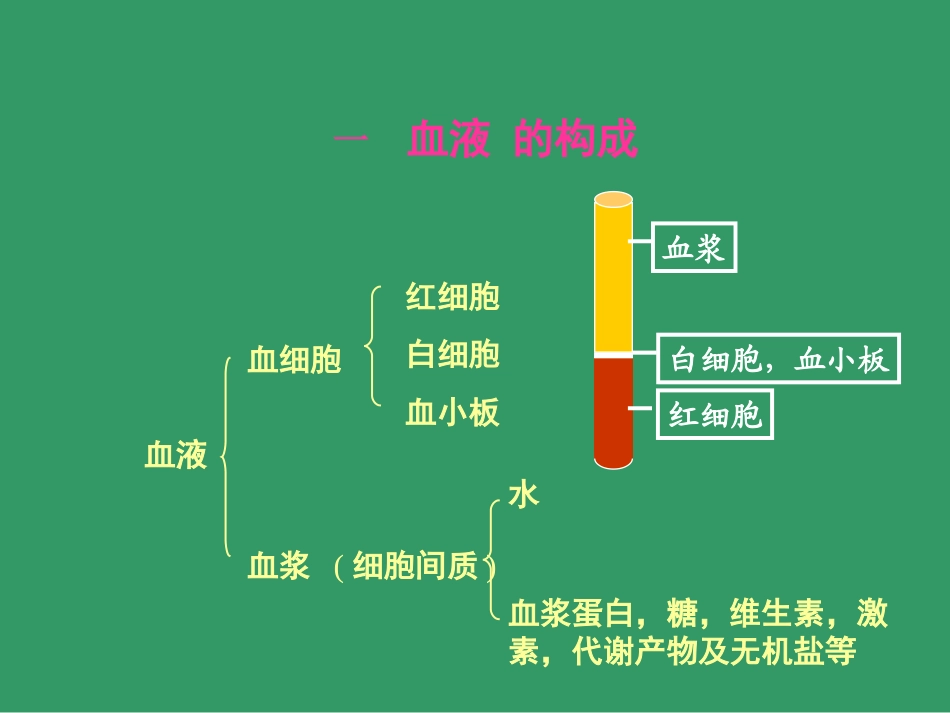血液BLOOD--组织学和胚胎学_第3页