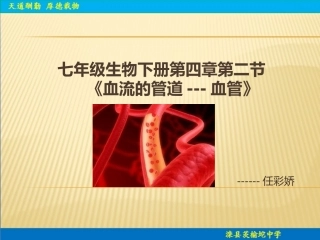 血流的管道——血管说课稿