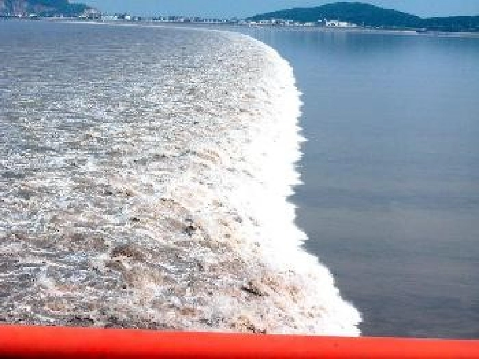 四年级语文上册第一组课件_第2页