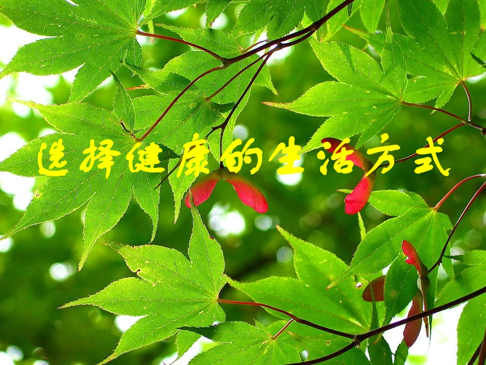 品德与社会课件-健康生活伴我行-ppt-五年级上册(鄂教版)_第3页