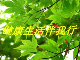 品德与社会课件-健康生活伴我行-ppt-五年级上册(鄂教版)
