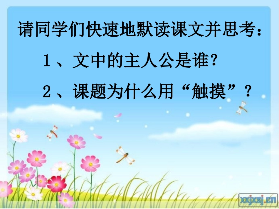 触摸春天课件_第3页