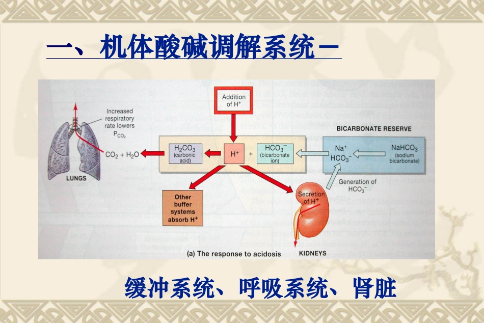 血气分析-PPT_第3页