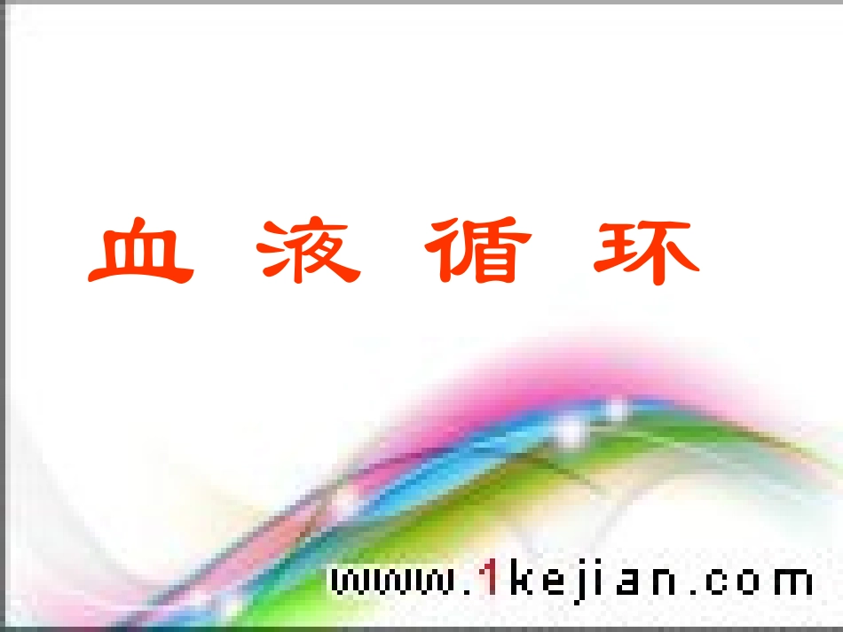 血循环[整理后]_第1页