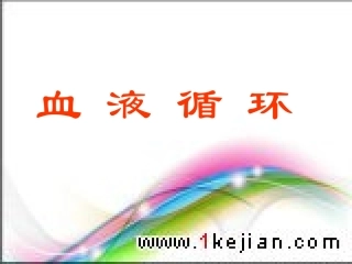 血循环[整理后]