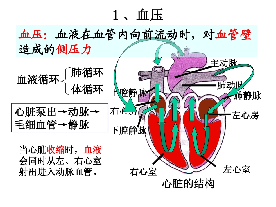 血压调节[1]_第2页