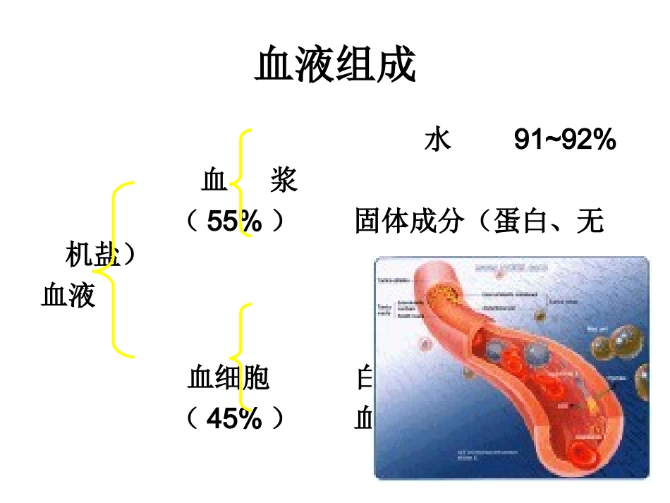 血-液-检-查_第2页