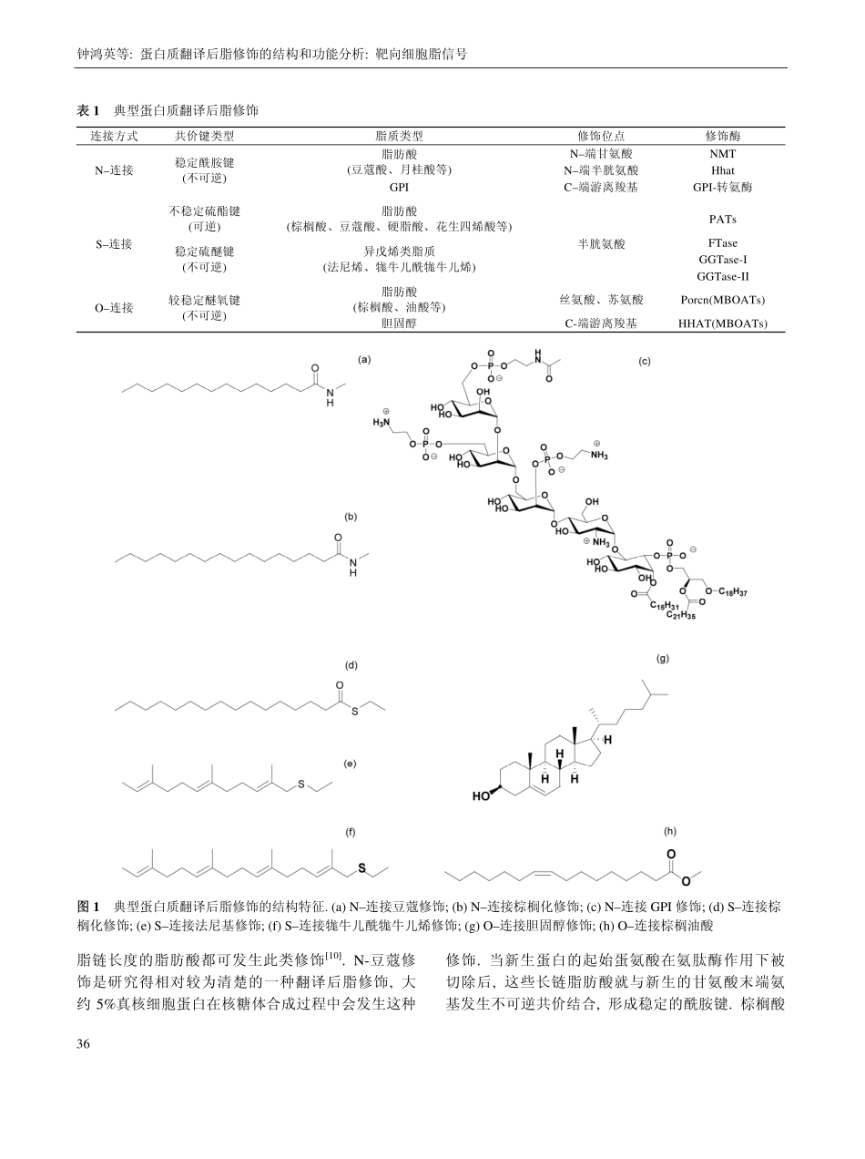蛋白质翻译后脂修饰_第2页