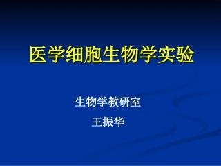 蛙血细胞涂片