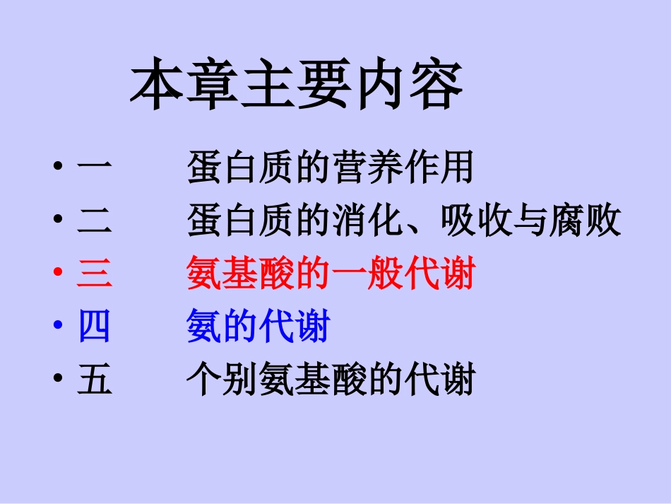 蛋白质的分解代谢_第2页