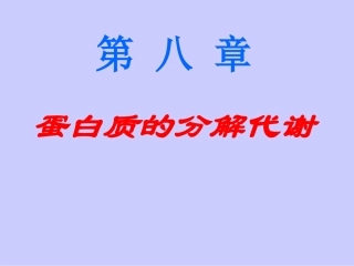 蛋白质的分解代谢