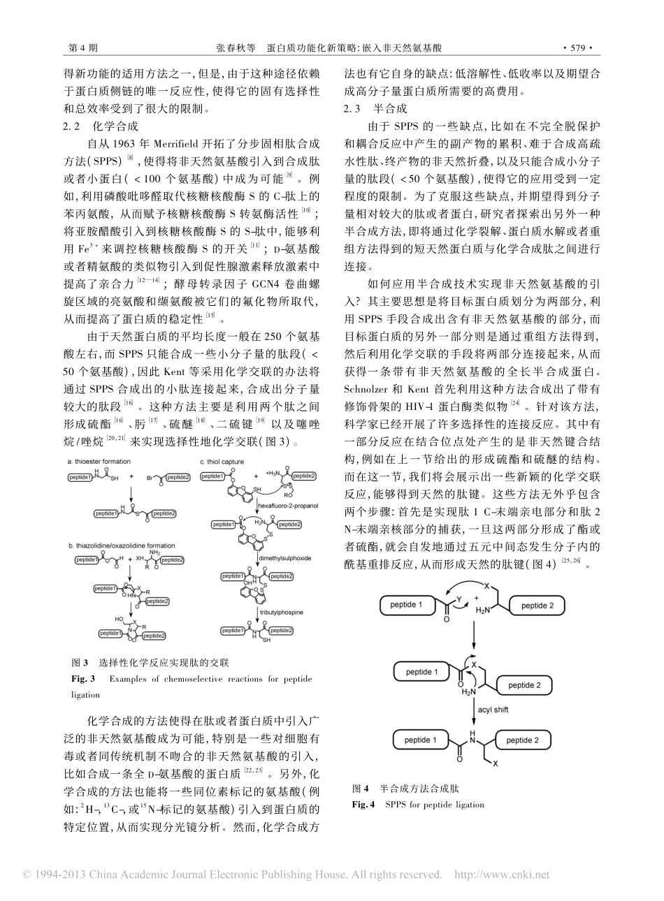 蛋白质功能化新策略_嵌入非天然氨基酸_张春秋_第3页