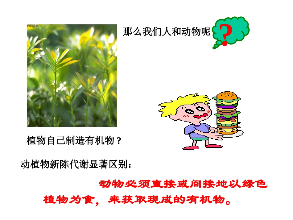 蛋白质代谢和人体健康_第2页