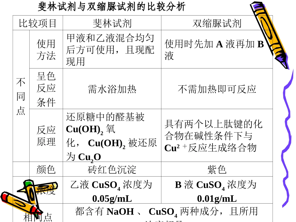 蛋白质ppt_第1页