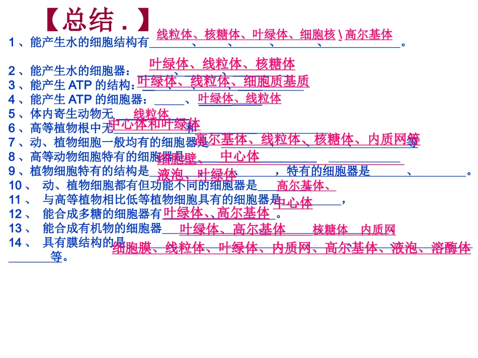 蛋白质ppt_第2页
