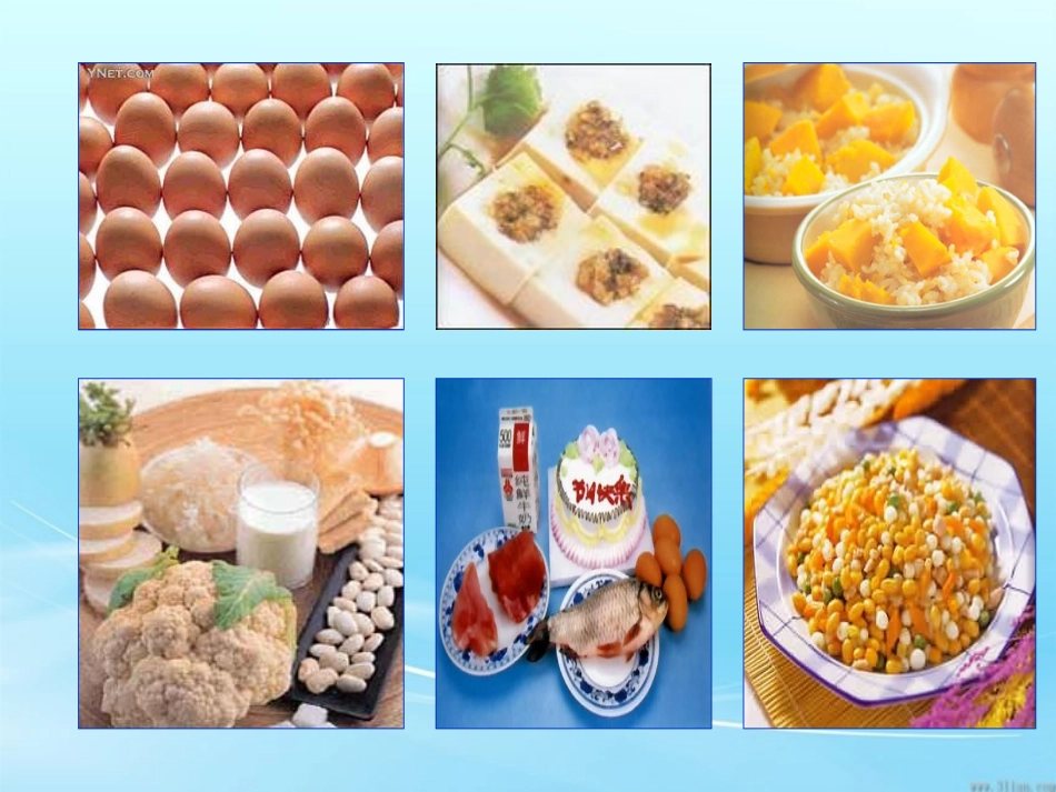 蛋白质ppt_第3页