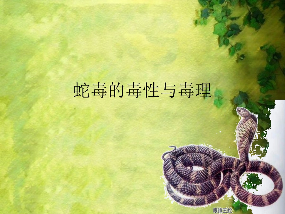 蛇毒的毒性与毒理——上传ppt_第1页