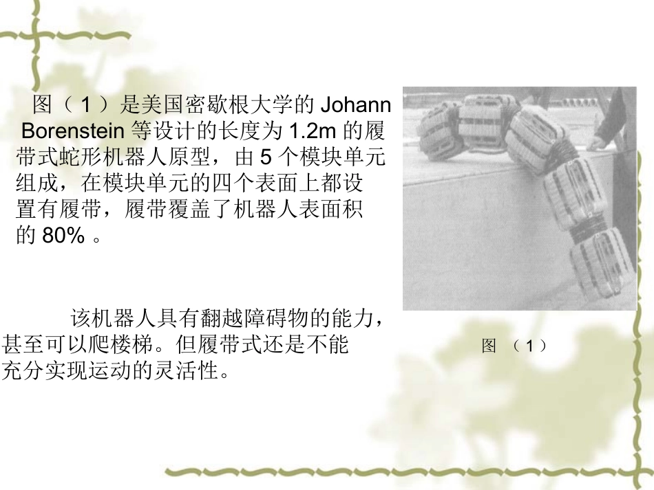 蛇腹鳞的结构特点及其摩擦行为_第2页