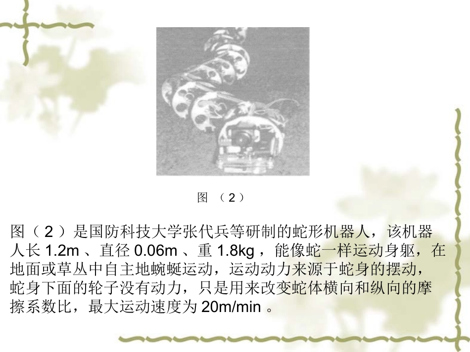 蛇腹鳞的结构特点及其摩擦行为_第3页