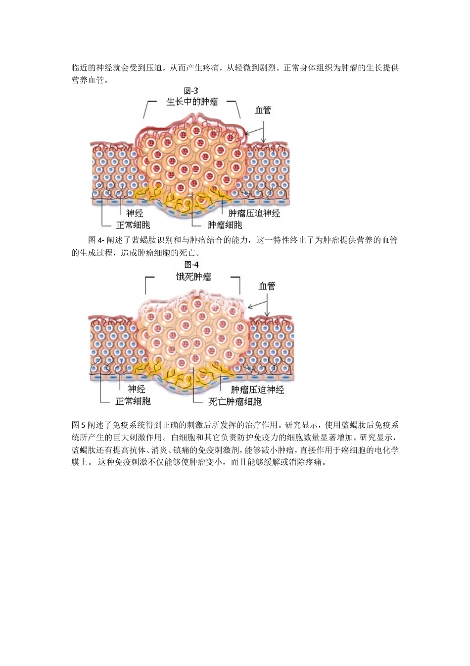 蓝蝎肽___癌症克星_第3页