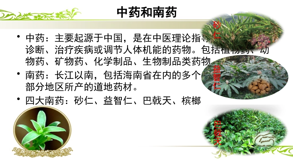 药食同源类食品的质量安全控制和药效评价分析_第2页