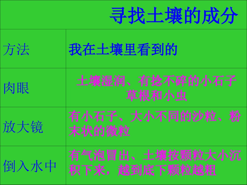 《土壤中有什么》_第2页