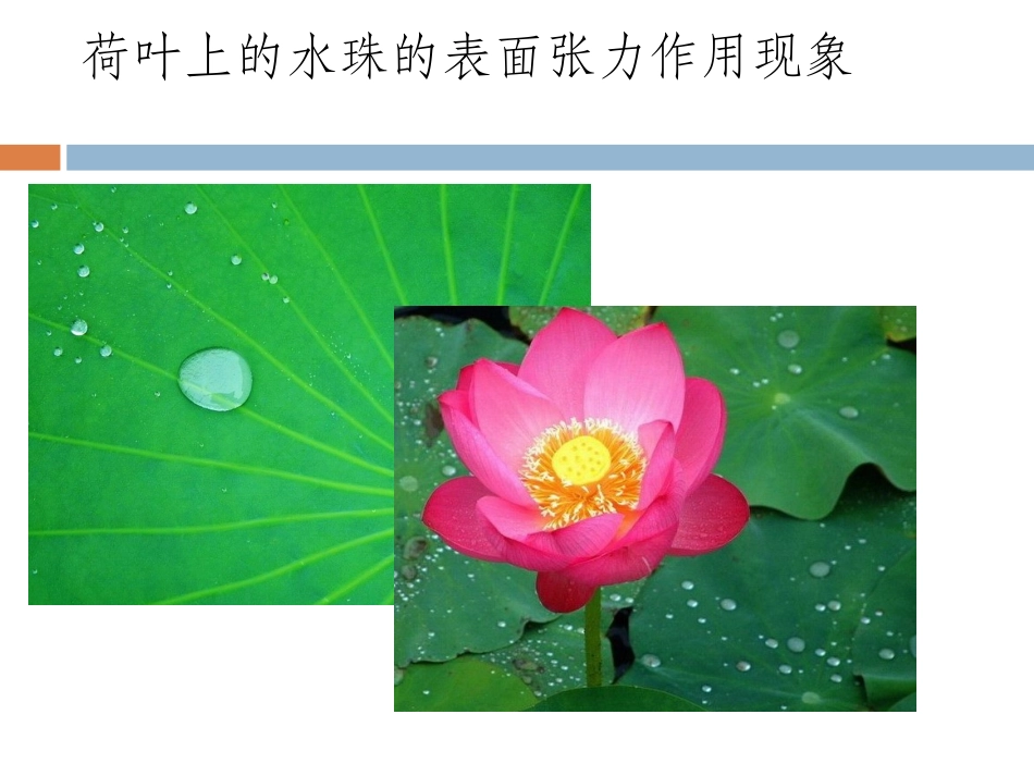 药用辅料--表面活性剂分析_第2页