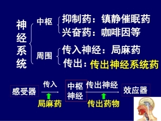 药理-5传出概论