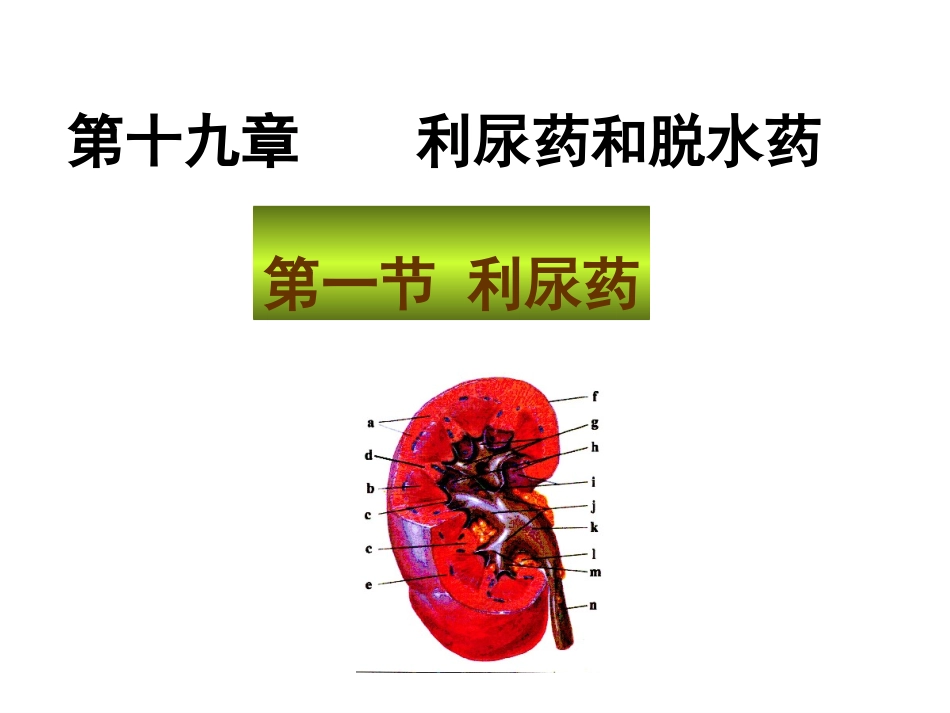 药理---利尿药与脱水药--ppt_第1页