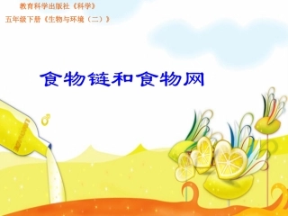 15《食物链和食物网》