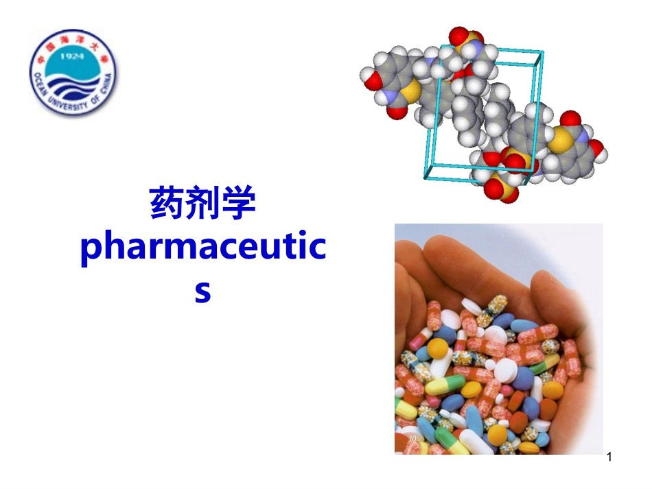 药学导论之药剂学_第1页