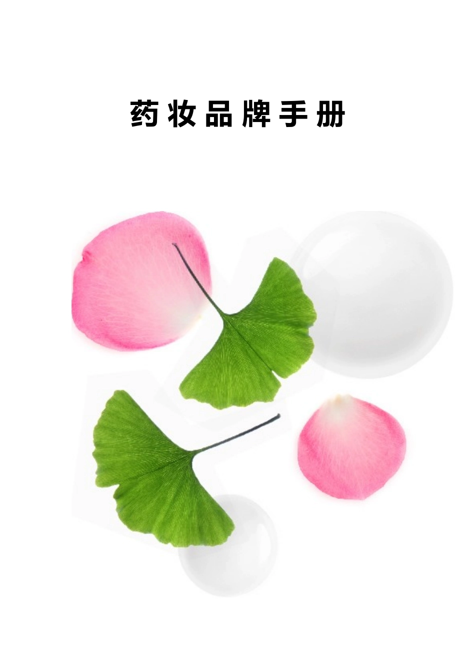 药妆品牌手册_第1页