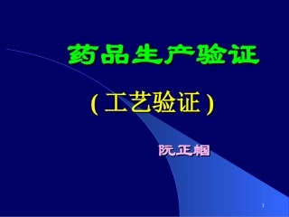 药品生产验证10.16