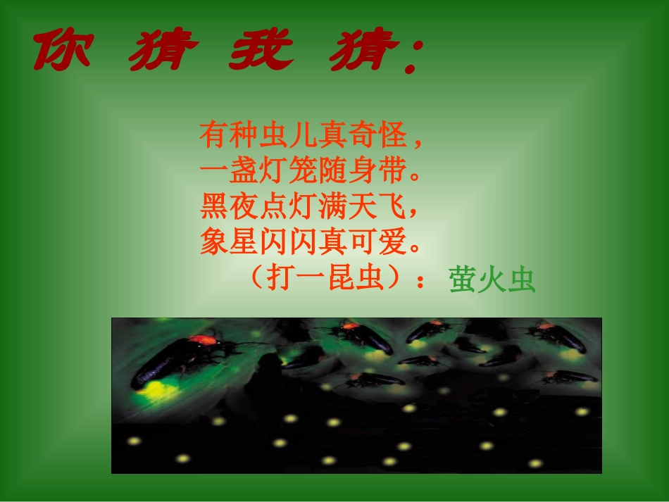 23、绿色蝈蝈_第1页