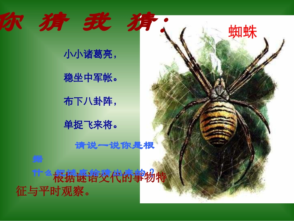 23、绿色蝈蝈_第2页