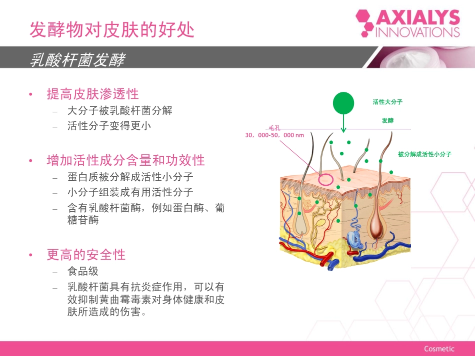 荣朗-AXIALYS_OPTIMEALTH_奥婷敏_PPP_中文_第2页