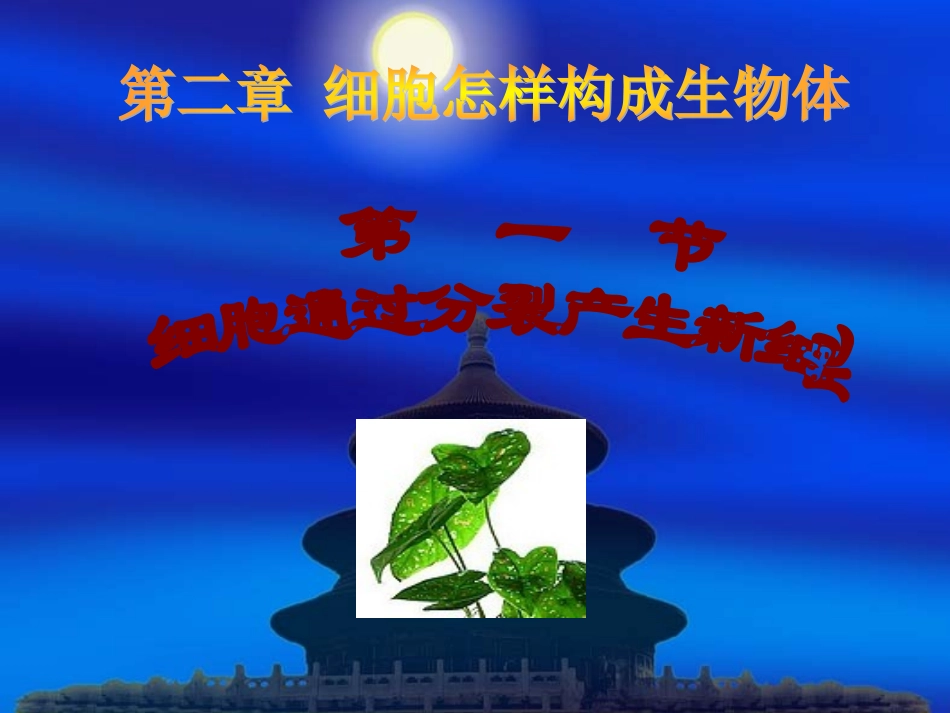 苏海银自制细胞分裂幻灯片-20121027_第2页