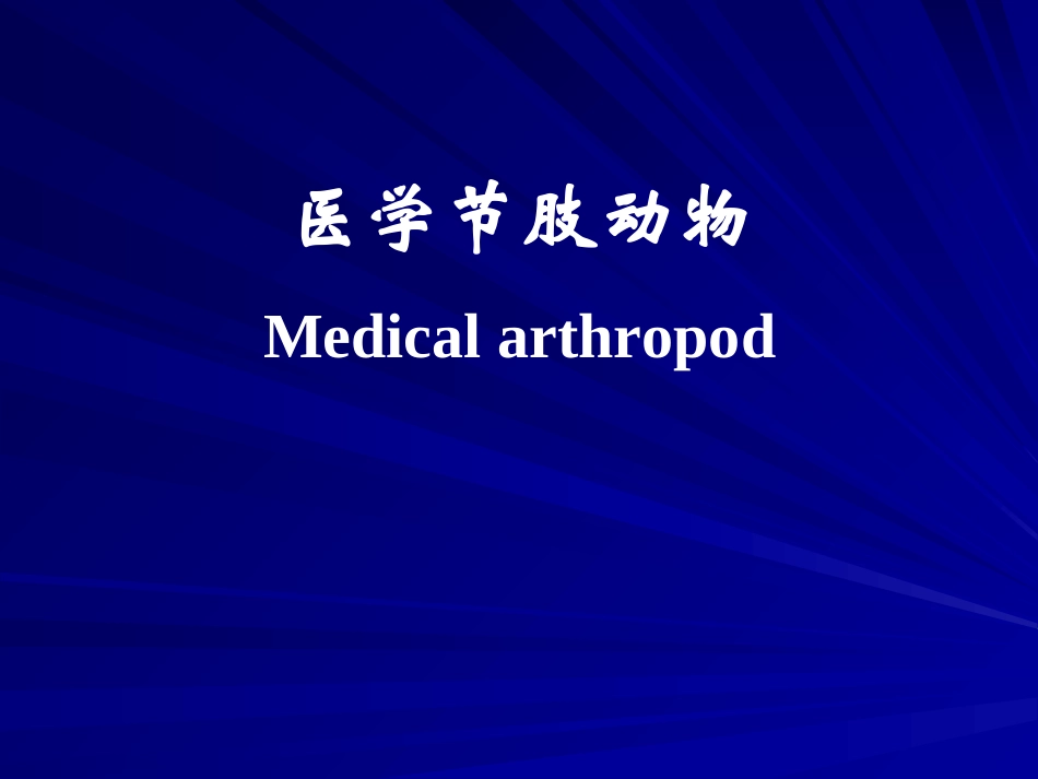 节肢动物概述PPT_第2页