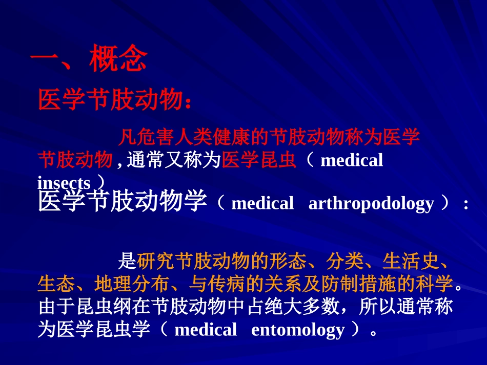 节肢动物概述PPT_第3页