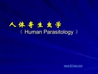 节肢动物概述PPT