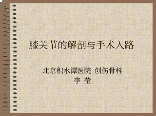 膝关节的解剖与手术入路