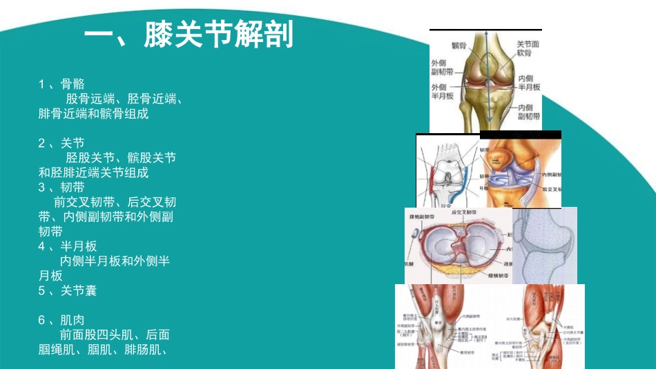 膝关节功能障碍的康复评定_第3页