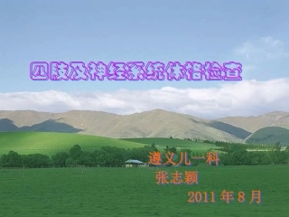 腹部体格检查