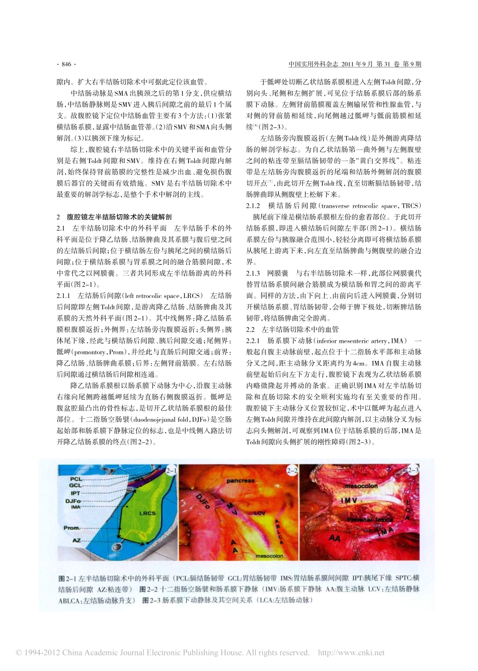 腹腔镜结直肠癌根治术解剖概要_第3页