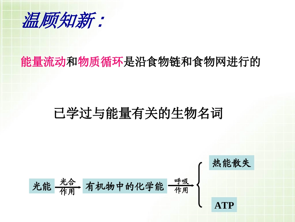 5.2生态系统的能量流动_第2页