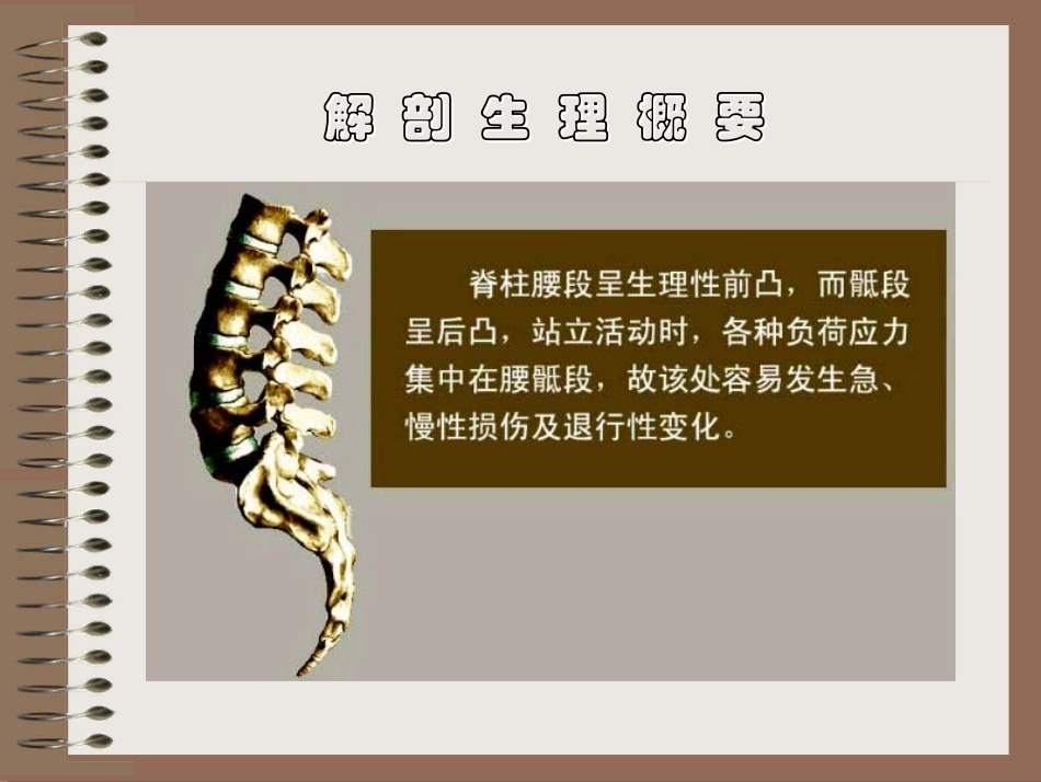 腰腿痛和颈肩痛_第3页