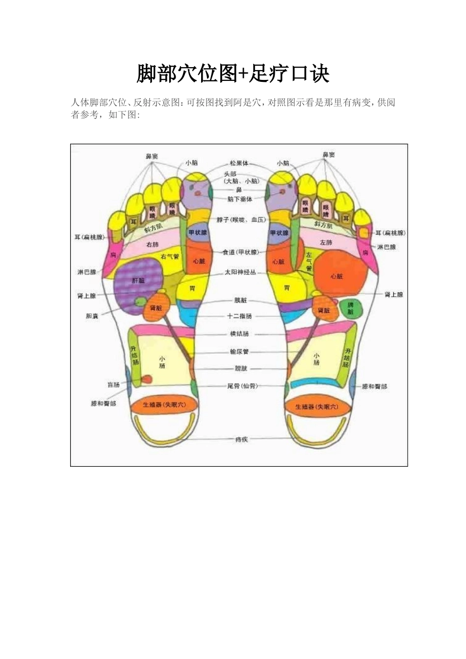 脚部穴位图+足疗口诀_第1页